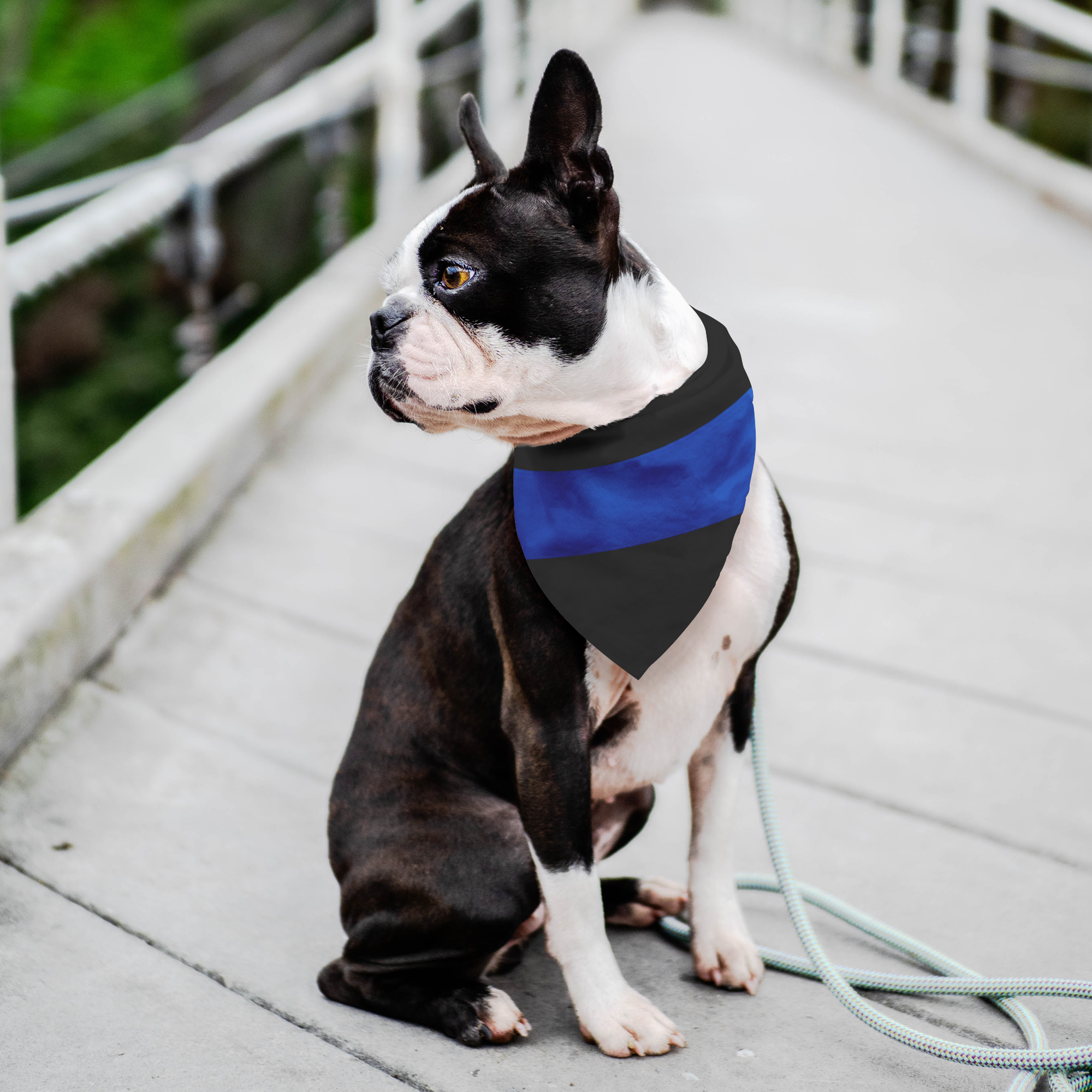 Thin blue store line dog bandana