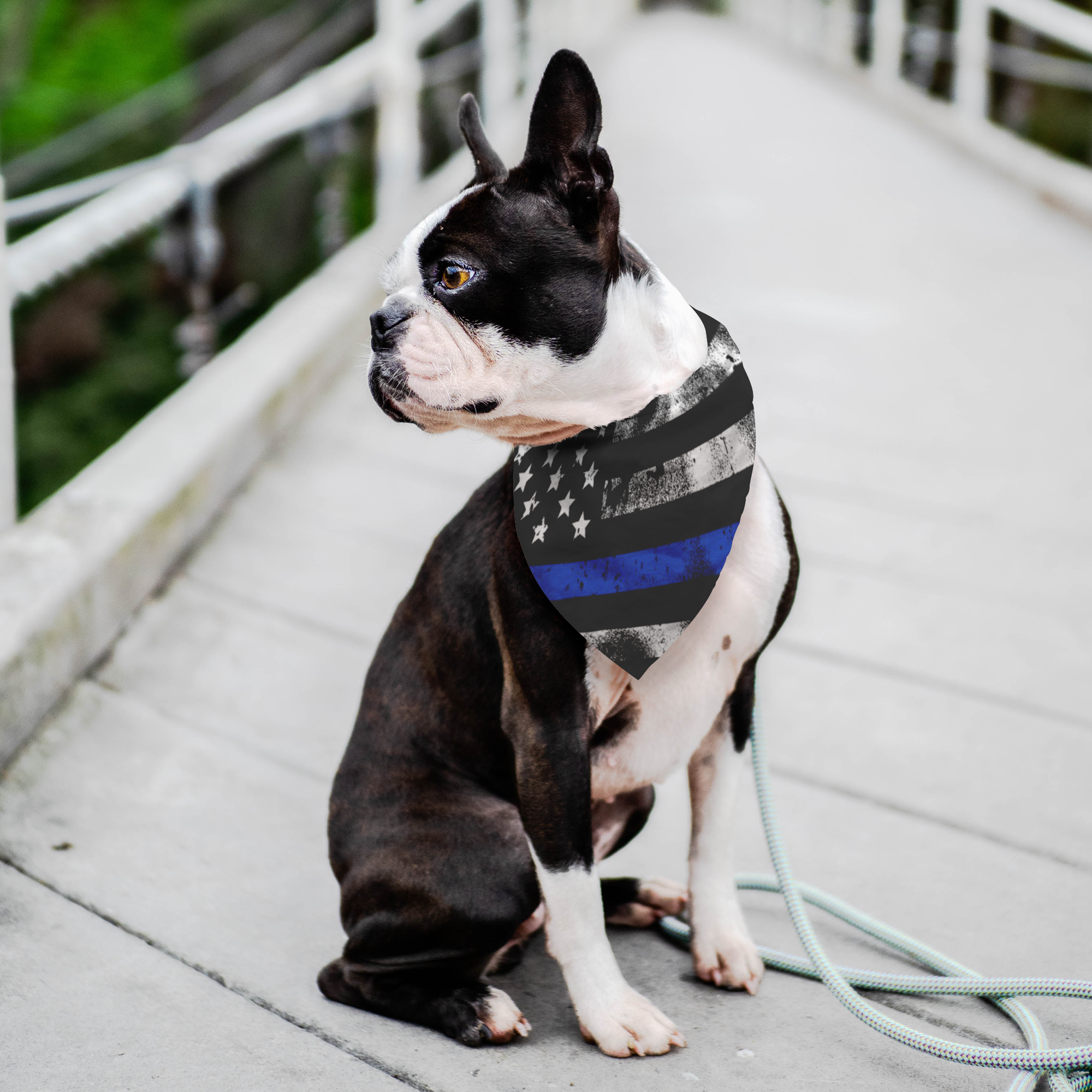 Thin blue top line harness