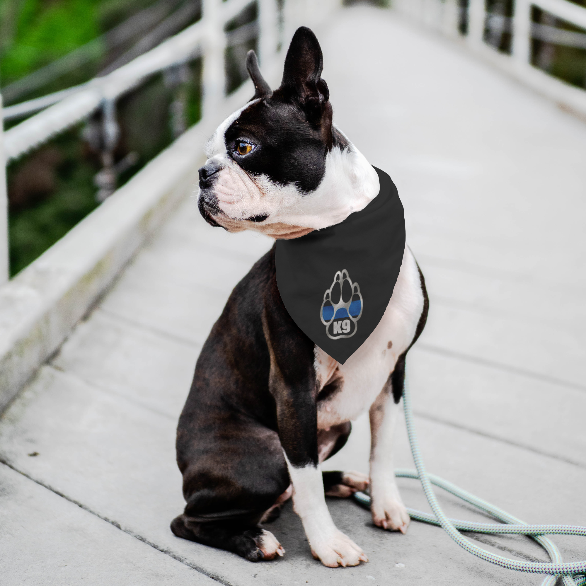 Thin blue deals line dog harness