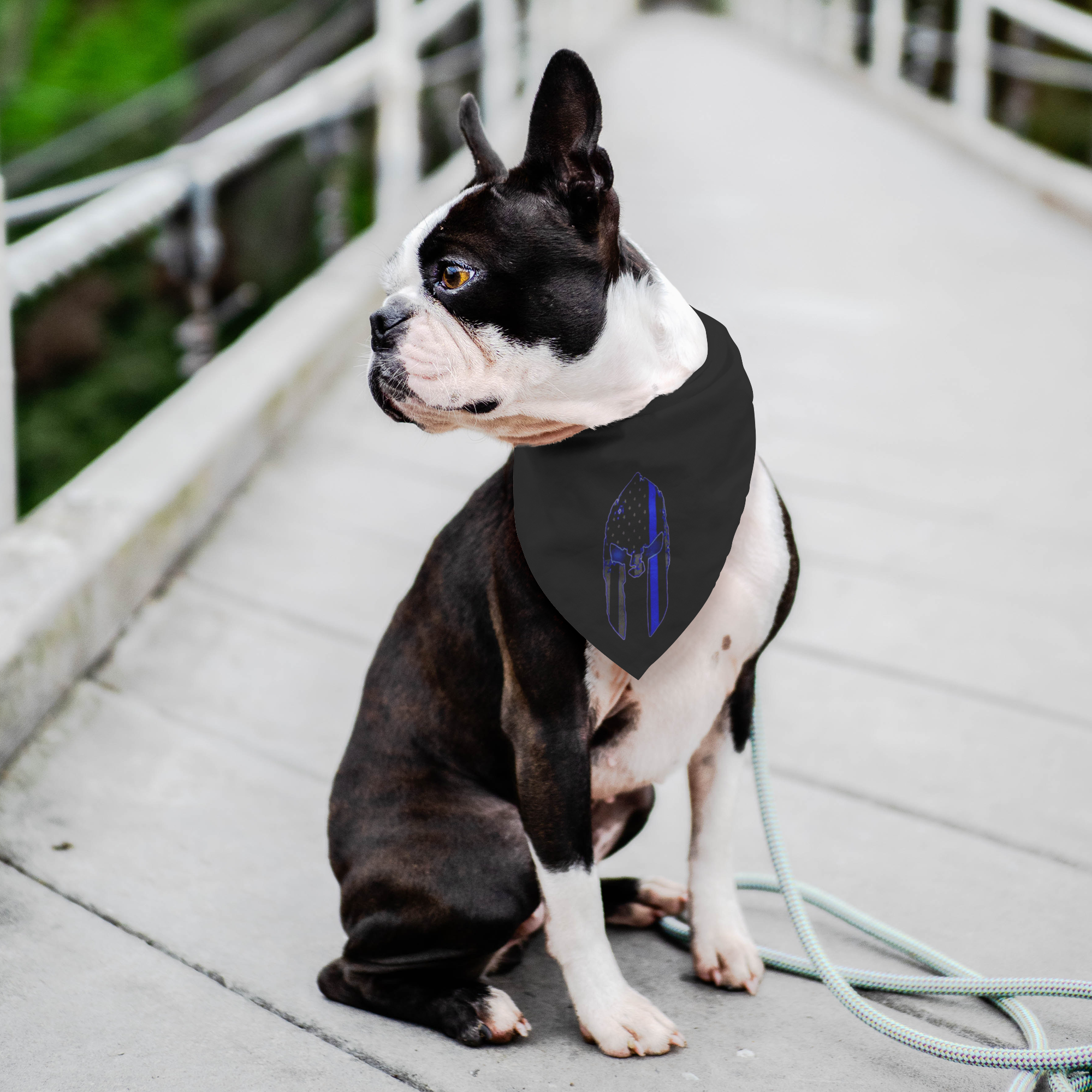 Thin Blue Line Spartan Pet Bandana